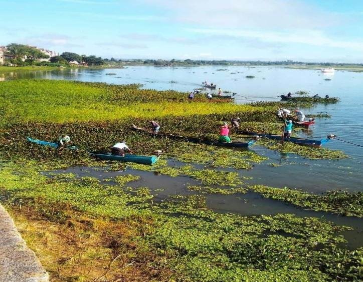 Limpeza do Rio São Francisco